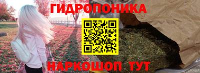 индика Краснознаменск